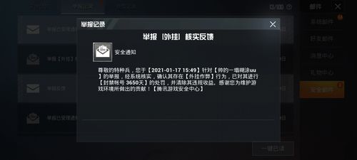 和平精英「雪花」直装辅助