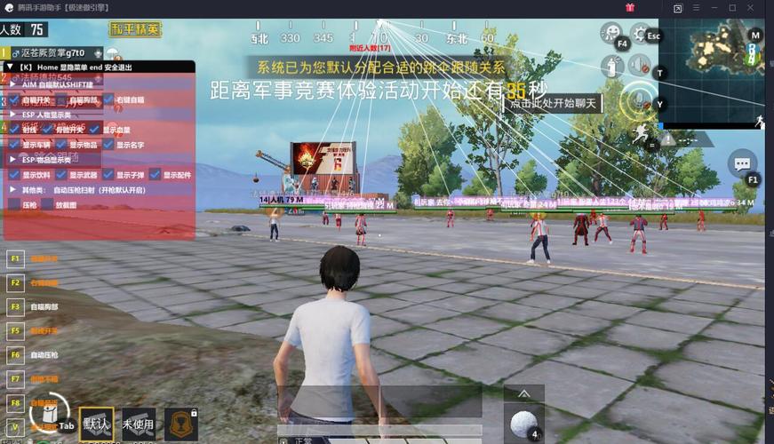 和平精英辅助【XL主播定制】独家绘制透视 完美过检 雷达预警  生态触摸锁 函数自瞄 可观透