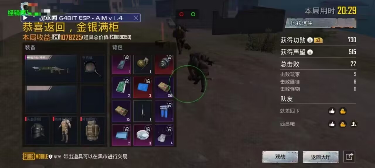 和平精英辅助【飞鸟】